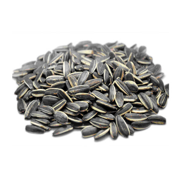 SUNFLOWER SEED